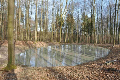 Sanierung einer historischen Tränke im Teutoburger Wald