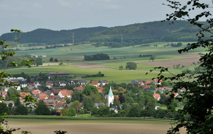 Naturkundliche Wanderung: Isenberg – Sabbenhausener Egge / Kloster Falkenhagen